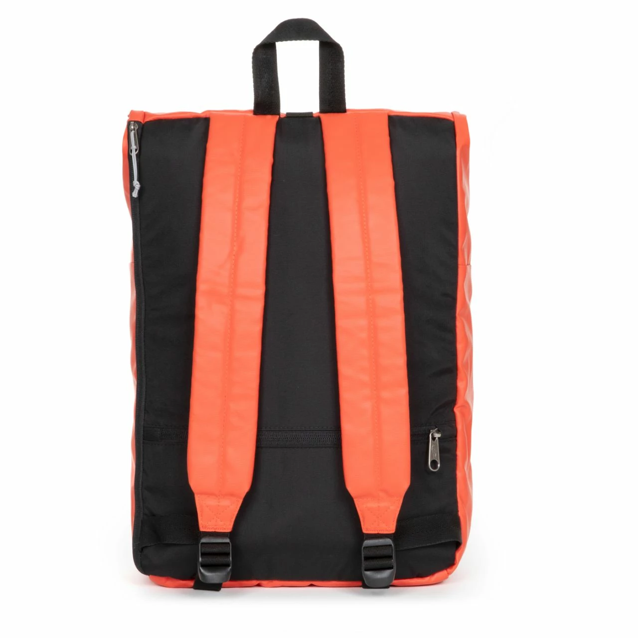 Eastpak Rucksack Up Rolltop Backpack 23L Trap Tasty 4 Eastpak Rucksack Up Rolltop Backpack 23L Trap Tasty – Bild 2